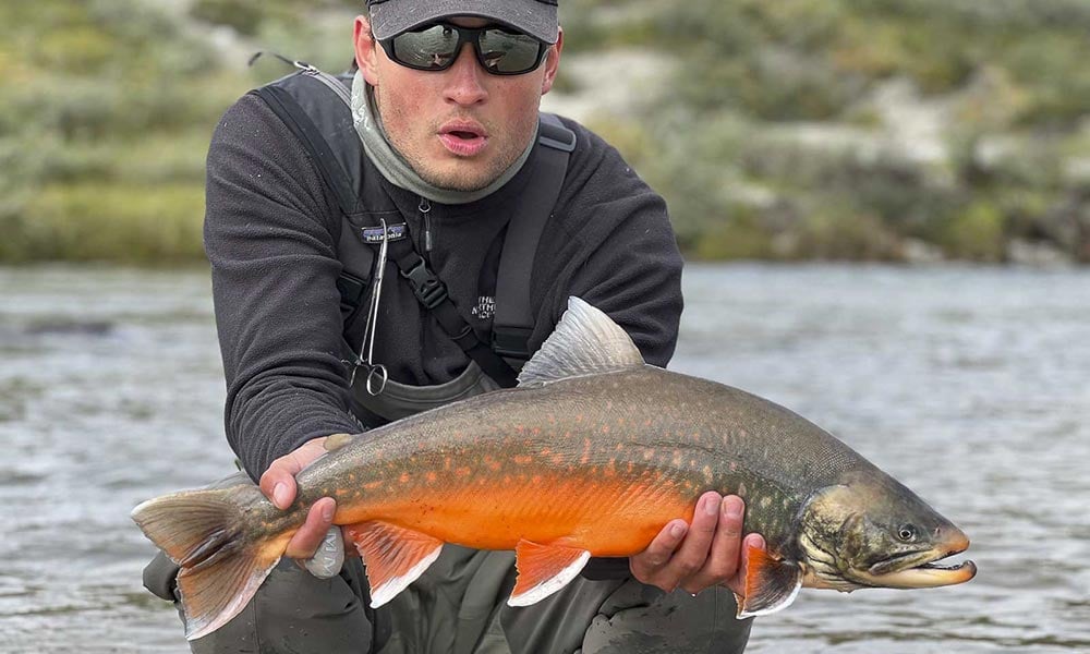 Wild Arctic char held by fly fishing angler in Greenland