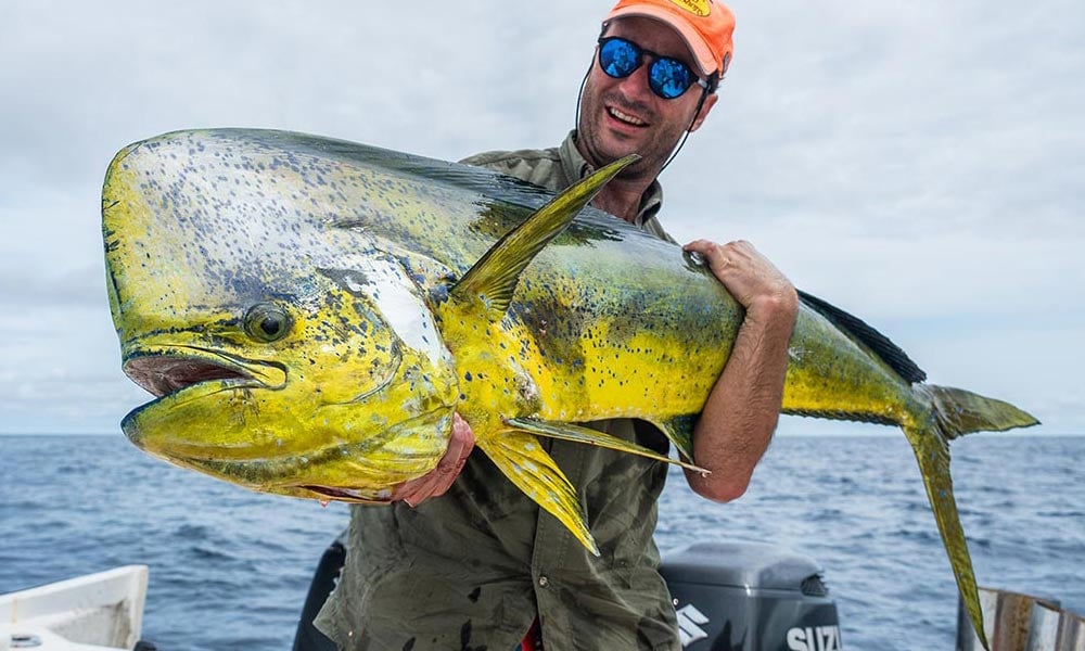 Mahi Mahi fishing destinations & trips