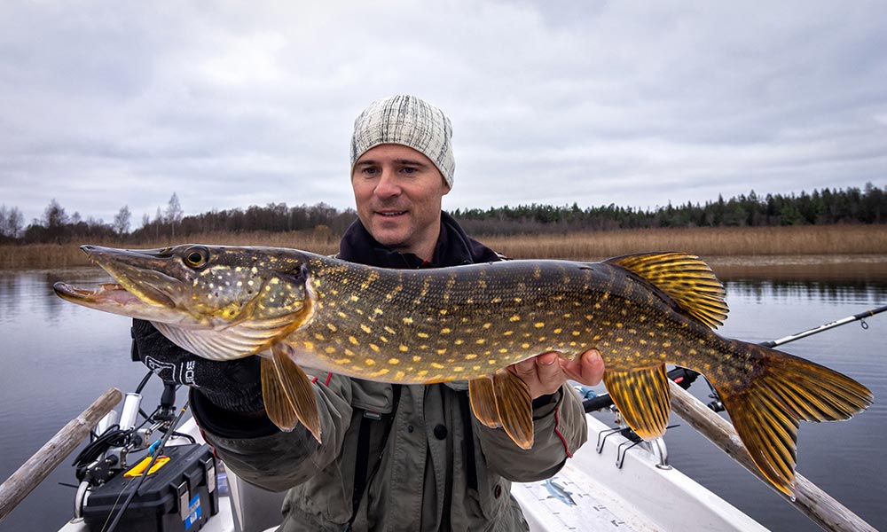 Northern Pike fishing destinations & trips