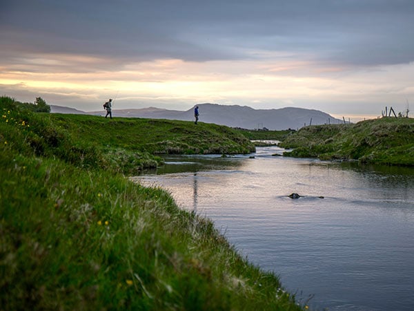 Online presence for fishing guides