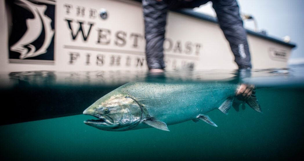 West Coast Fishing Club in Canada, Salmon Fishing