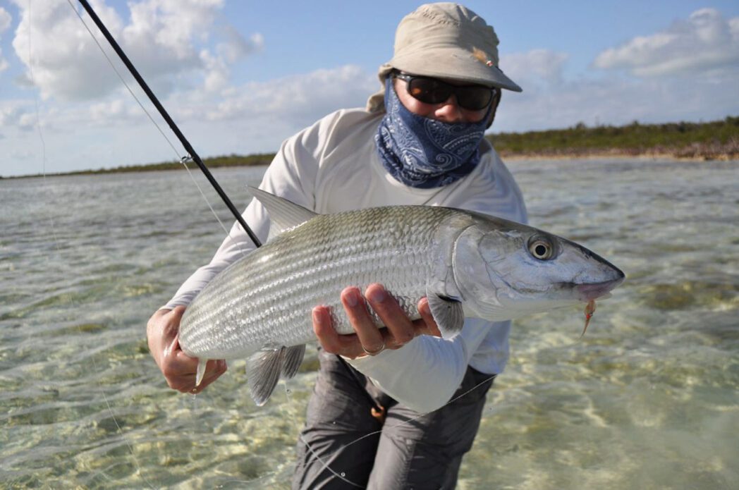 Mangrove Cay Club