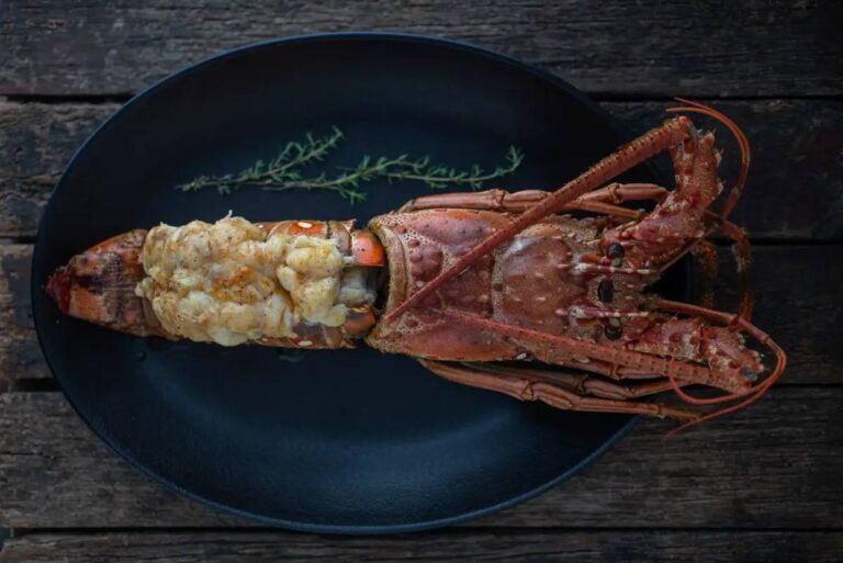 Gourmet food - lobster, Bair's Lodge