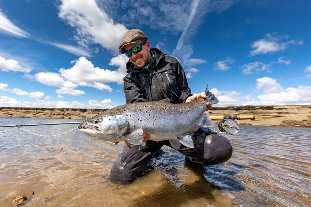 Beautiful sea-trout (sea-run brown trout) fly fishing Argentina