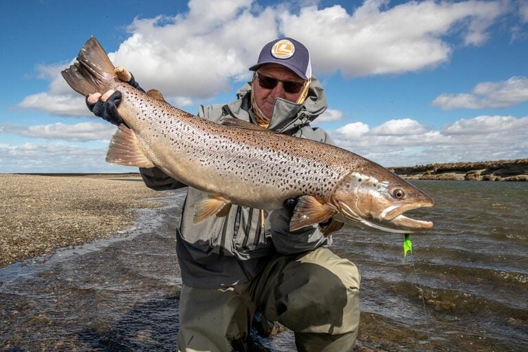 Giant sea-run brown trout (sea trout) caught on fly