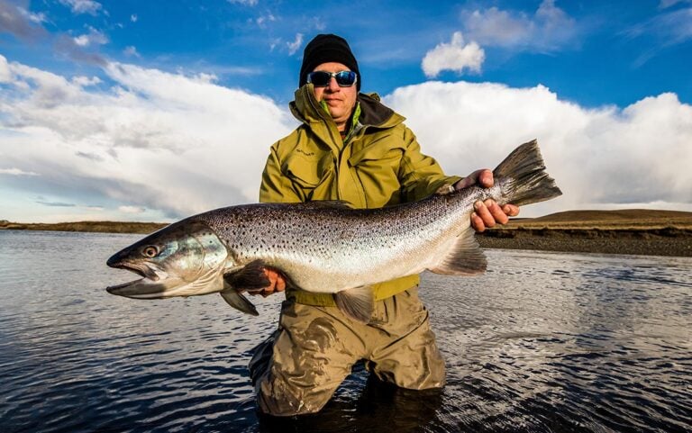 Trophy sea-run brown trout in Argentina