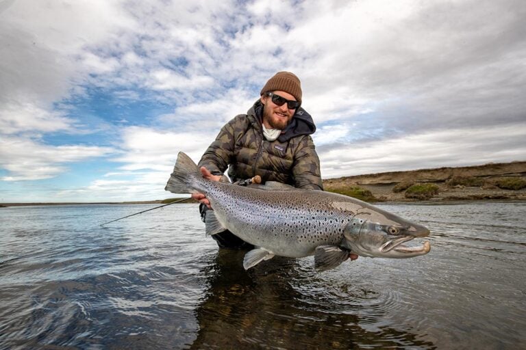 Monster sea-run brown trout, Kau Tapen