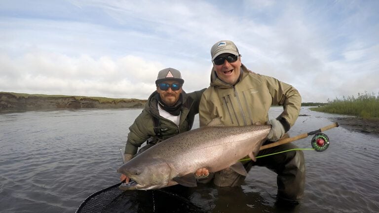 Large Alaskan salmon caught fly fishing