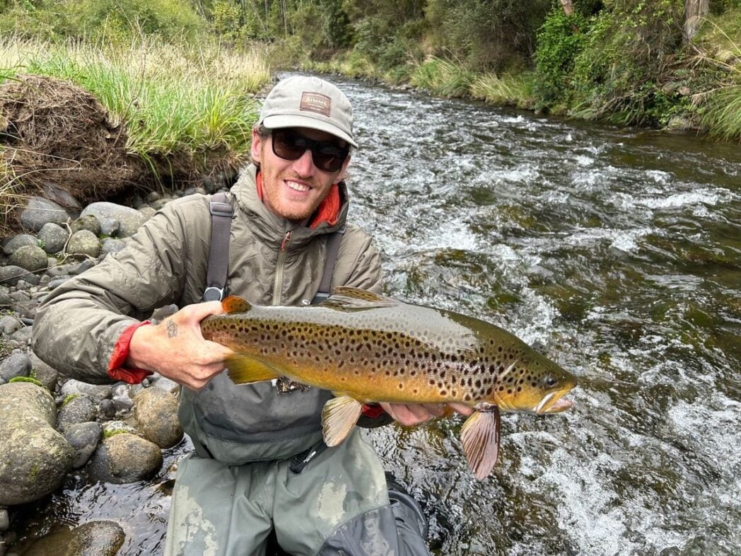 New zealand angler catching brown trout