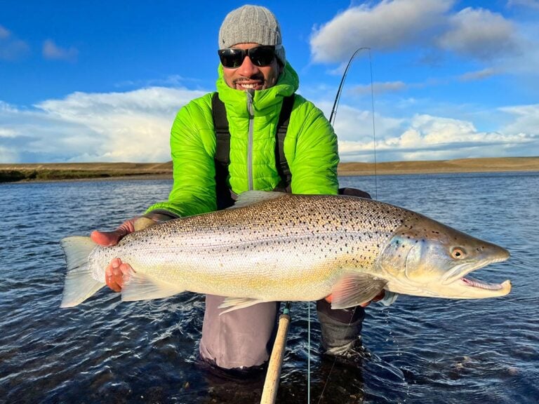 Sea-run brown trout caught fly fishing, Argentina