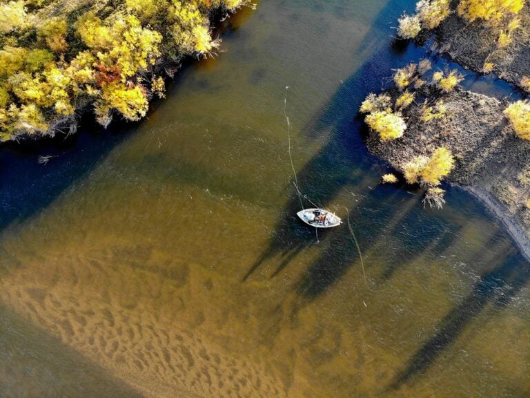 Taimen trout fly fishing Mongolia