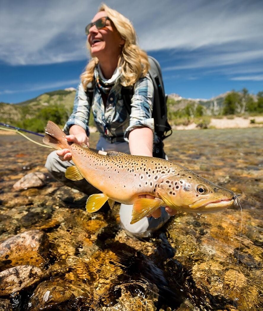 Large brown trout from Chilean river