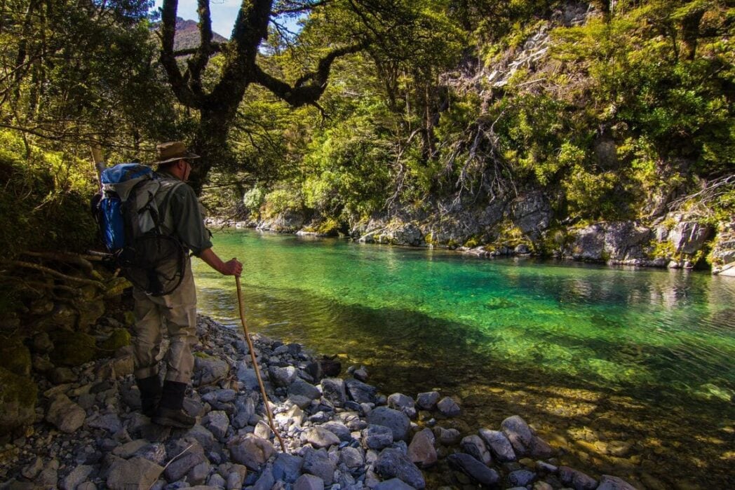 Sight fishing New Zealand, clear river