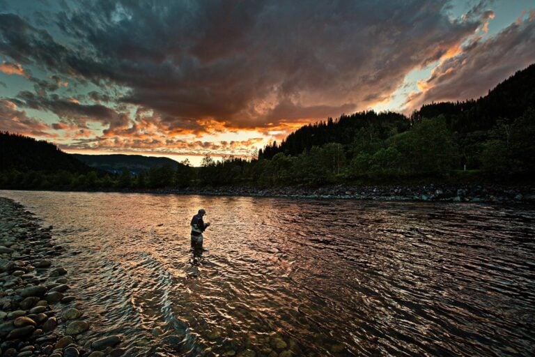 Angler fly fishing salmon river, Norway