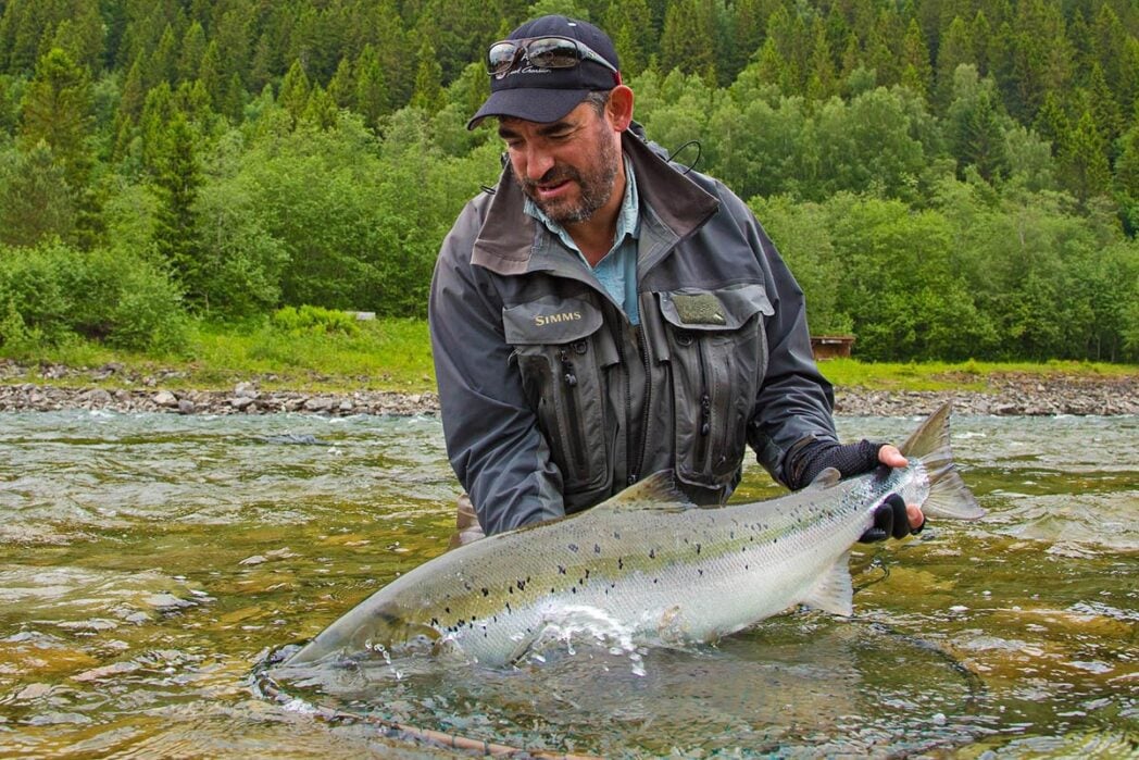 Large Atlantic salmon, Gaula River Norway