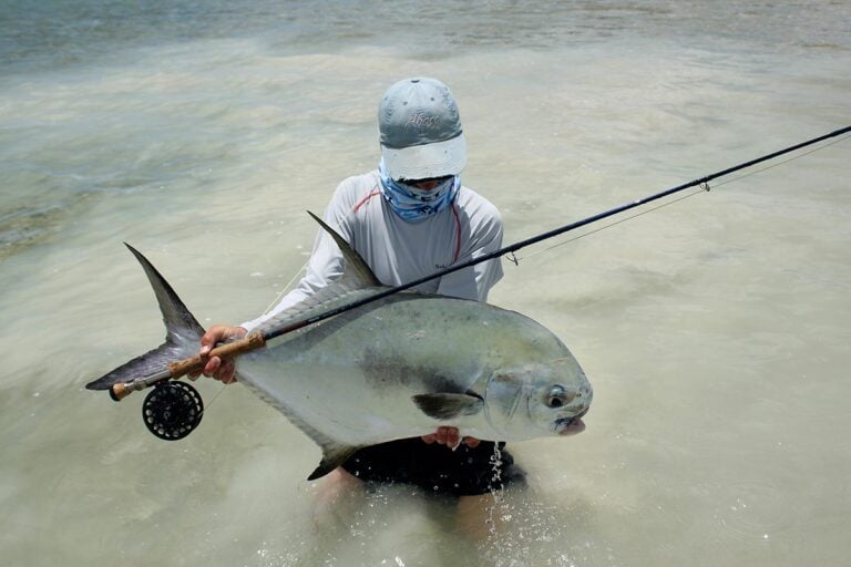 Large permit caught on fly, Mexico