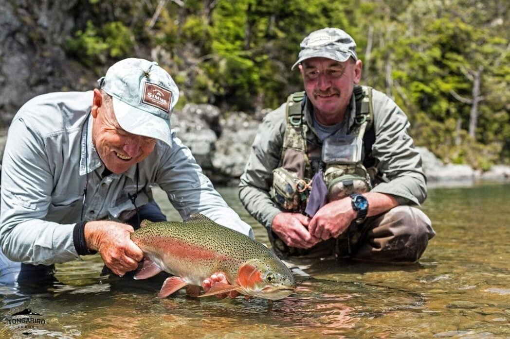 Releasing rainbow trout into New Zealand river