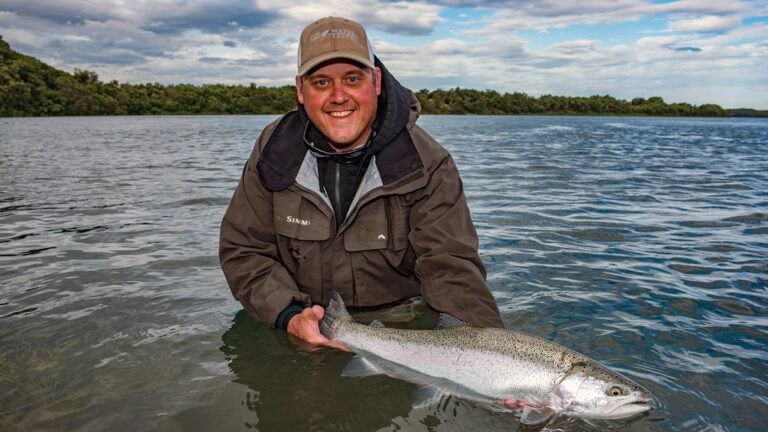 Rainbow trout being released into Alaska river