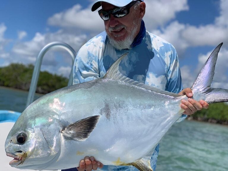 Silver colored permit fish