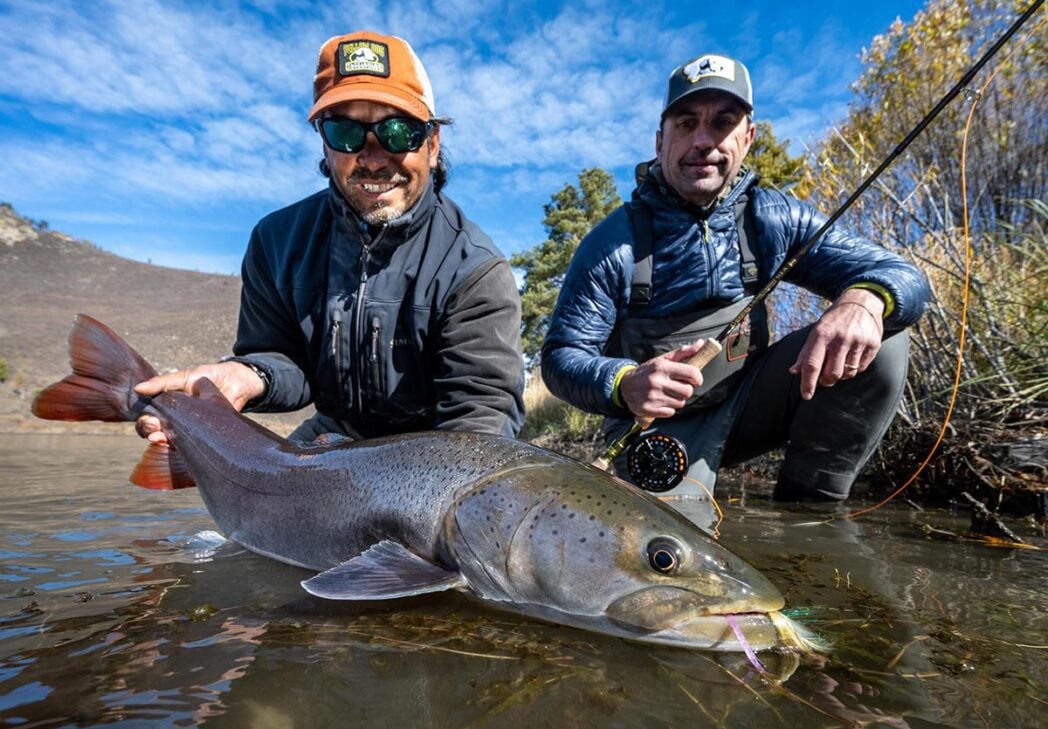 Releasing taimen trout caught fly fishing