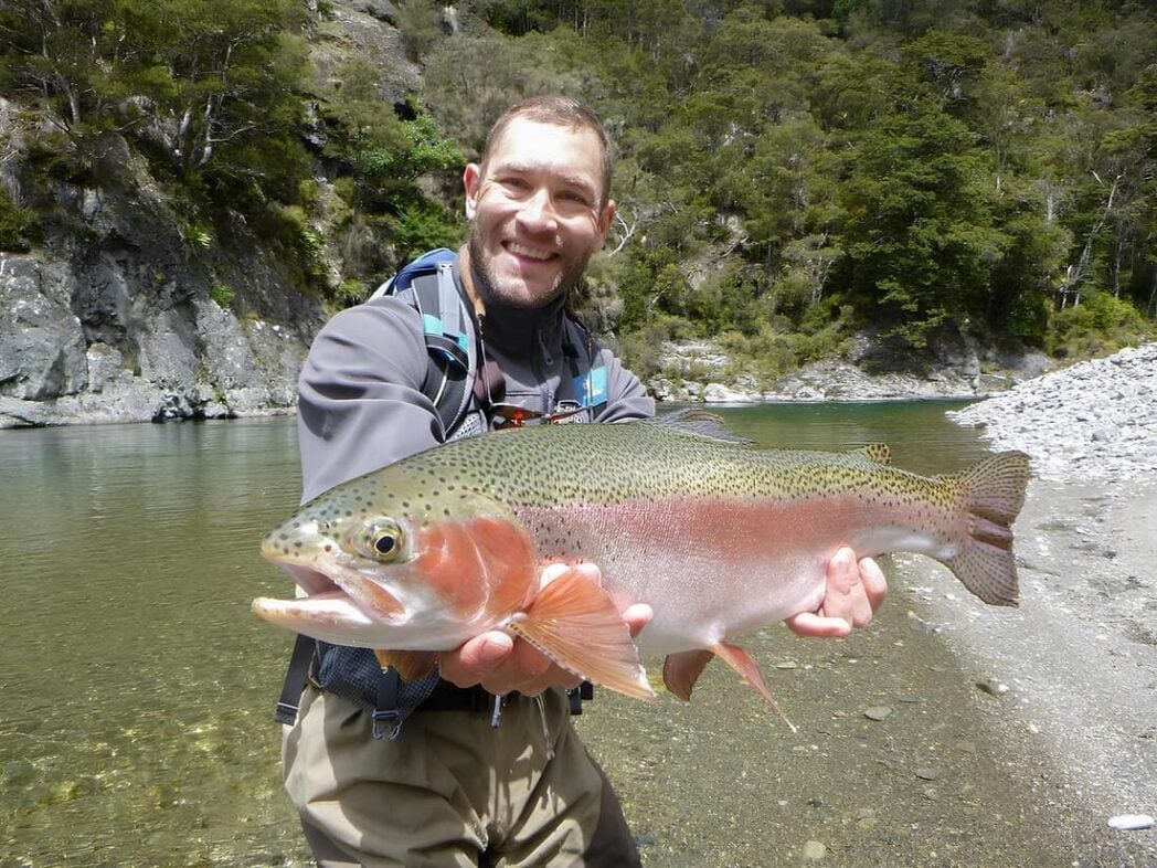 Trophy rainbow trout from New Zealand river