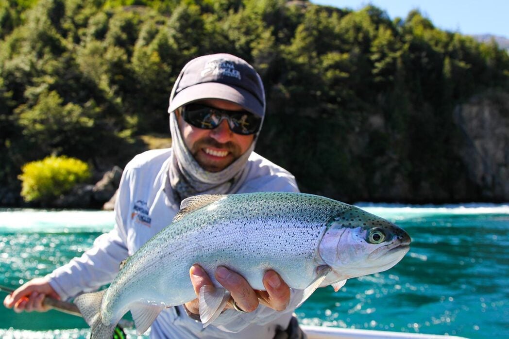 Rainbow trout fly fishing Chile