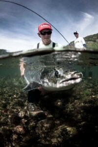 Releasing salmon to Aroy River, Norway