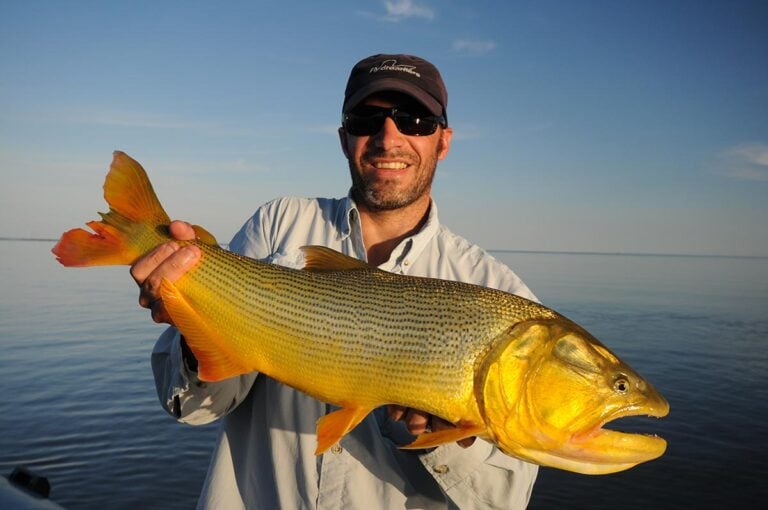 Golden dorado fishing trip, Buenos Aires