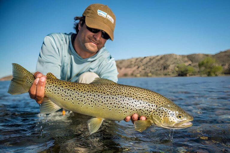 Guided trout fishing in Patagonia