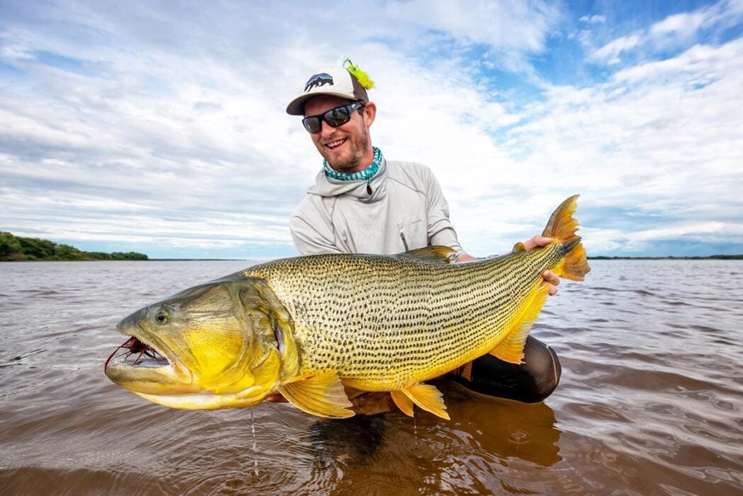 Big golden dorado fly fishing