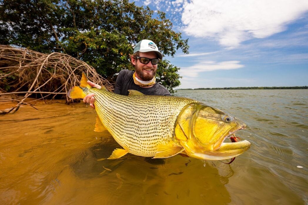 Golden dorado fishing lodge experience