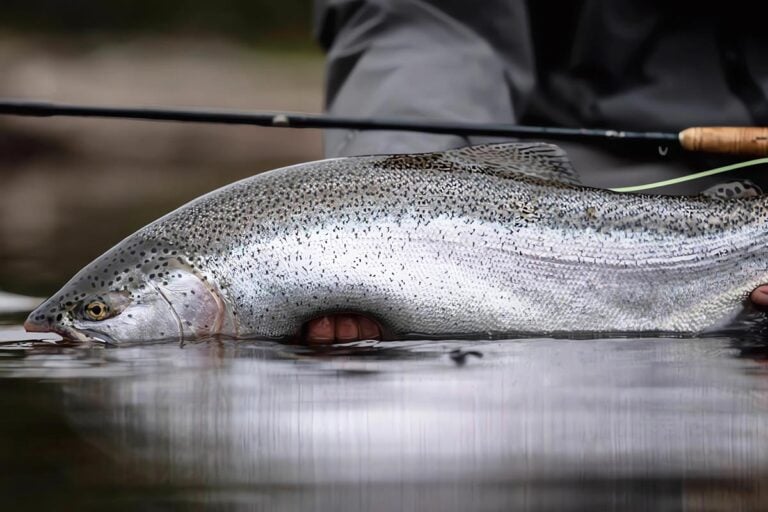 Patagonia fishing guides with trophy trout