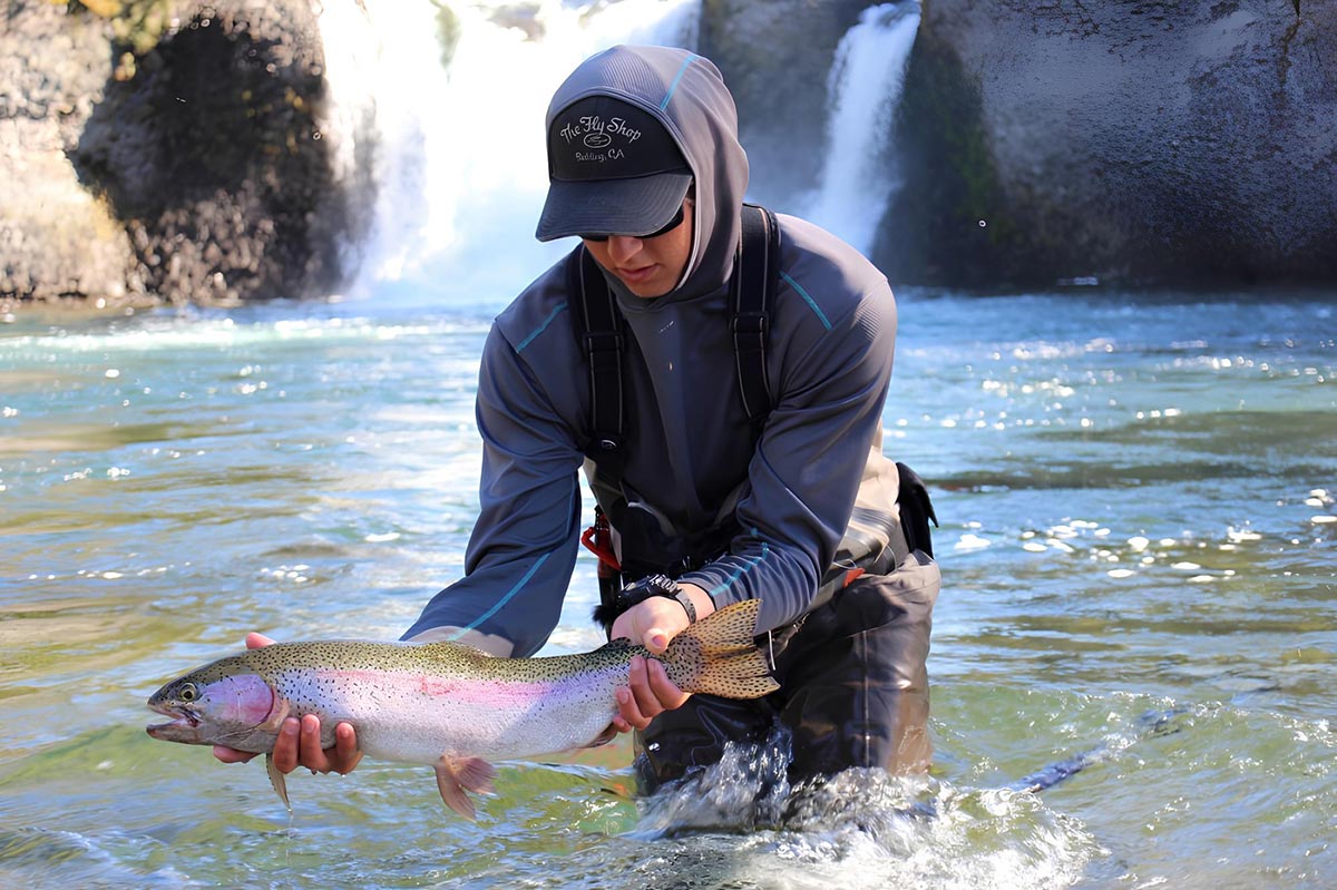 Rainbow trout fishing on Bristol Bay river system in Alaska - fish held by angler in water