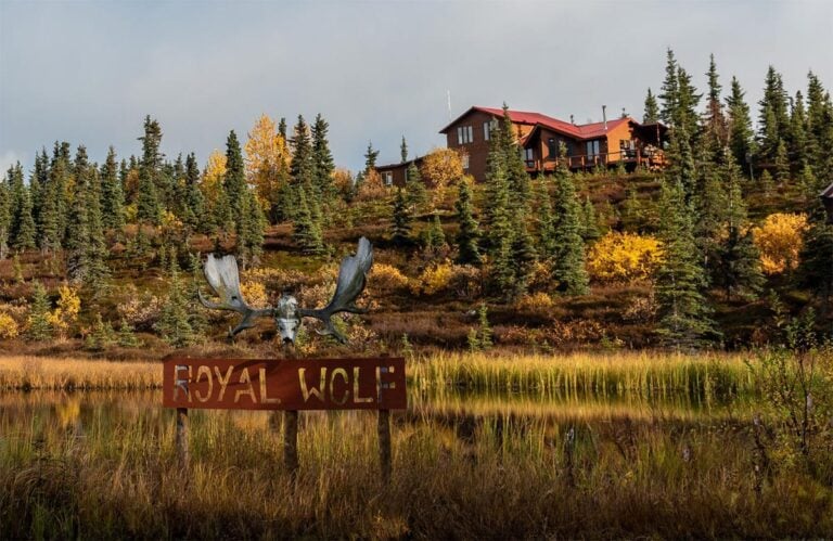 Royal Wolf Lodge, Alaska