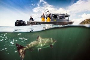 Underwater photo of salmon being reeled in at Waterfall Resort in Alaska, with anglers fishing from boat.