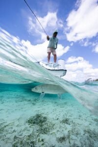 Underwater view of bonefish swimming under skiff boat in the Bahamas