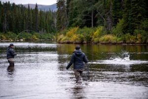 Atlantic salmon splashing on river surface in Labrador, Canada, hooked by angler