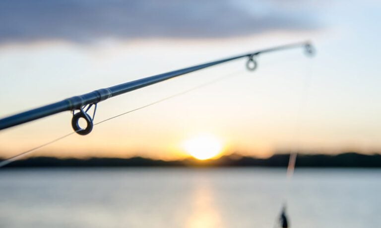 Inshore fishing, with rod, sea and shoreline in background