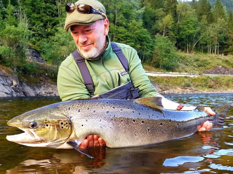 Fly Fishing in Norway – Angler in Chest Waders Holding a Trophy Atlantic Salmon Above the Waters of the Gaula River.