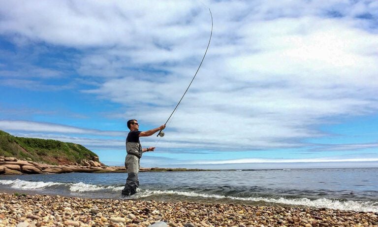 Fly fisherman standing close to pebble shore, casting into water