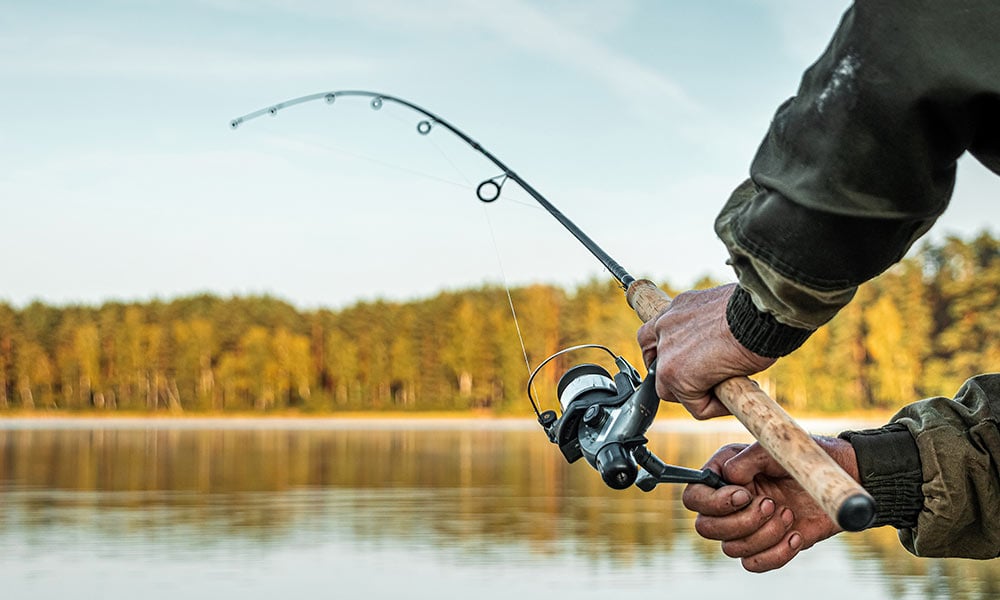 Man holding spinning rod, playing fish from shore