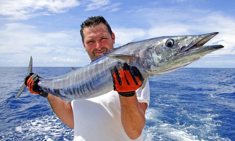 Wahoo fish held by boat angler with gloves in sunny weather