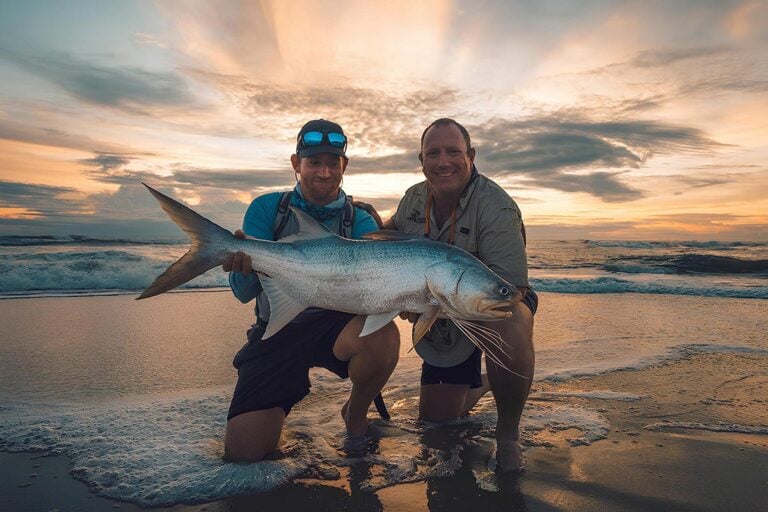 Fly fisherman kneeling in sea water on West African coastline, holding large fish