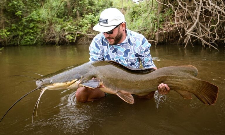 Vundu (Giant catfish) held by angler in Tanzania, Africa