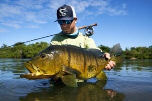 Peacock bass in Brazil held by fly fishing angler - Kendjam Lodge experience