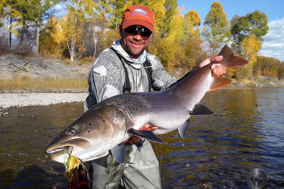 Taimen trout caught on river fly fishing in Mongolia