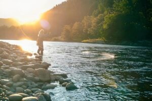 Female angler casting to salmon on Gaula, Norway