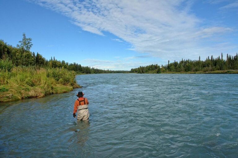 Fly angler on Keani river in Alaska