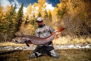 ngler holding a giant Siberian taimen on the Shishged River in northern Mongolia, surrounded by autumn larch forest