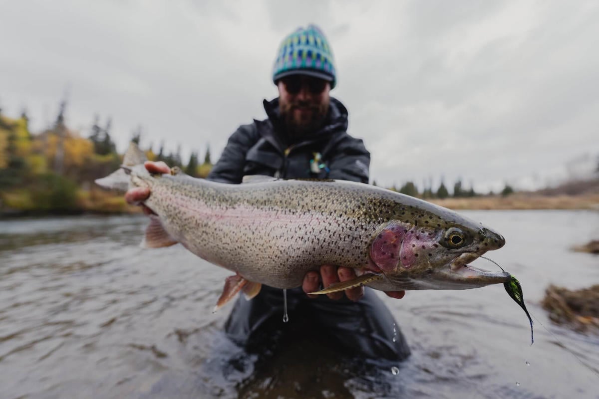 Rainbow trout caught on river in Katmai National Park, Bristol Bay Alaska